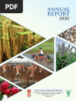 Icar Ar 2020 English | PDF | Agriculture | Sustainability