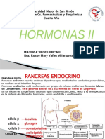 Páncreas endocrino y hormonas