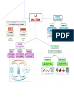 Mapa Materia 1