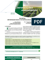 Informacoes Agronomicas - Nº 13 - Março 2022
