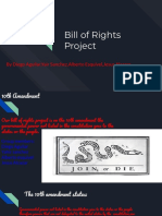 Bill of Rights Project