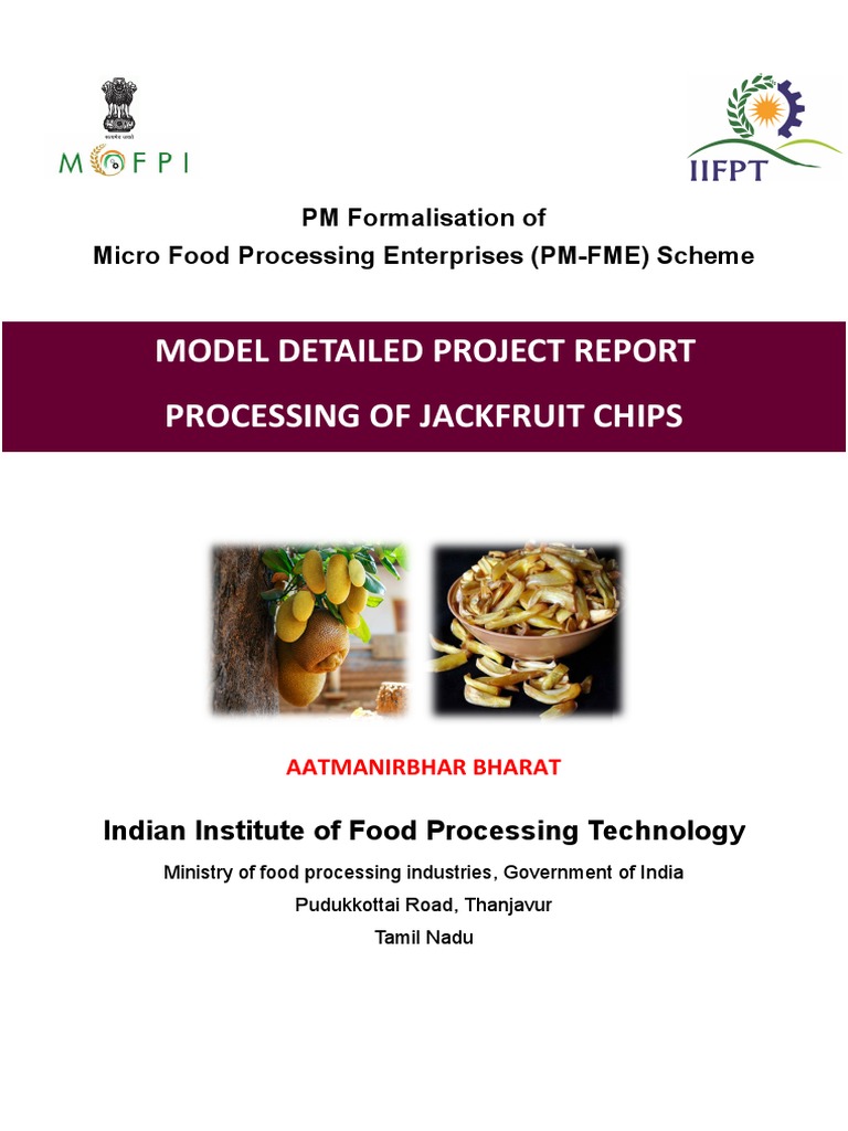 Jackfruit Chips Processing Project Report | PDF | Magnesium | Nutrients