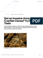 Got An Invasive Army of Crayfish Clones? Try Eating Them