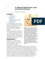 Apoptosis II: Beyond Cytochrome C The Other Mitochondrial Proteins