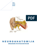 Neuroanatomija - Os