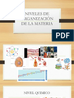 Niveles de Organización de La Materia