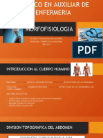 MORFOFISIOLOGIA