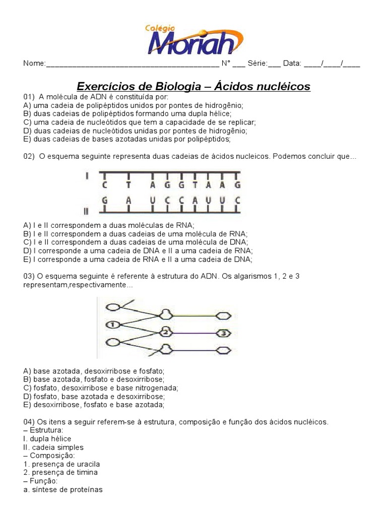 Exercícios sobre estrutura e função dos ácidos nucléicos | PDF | Ácidos ...
