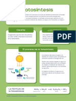 Biología Fotosíntesis