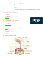 Practica #1 Aparato Digestivo Realizado