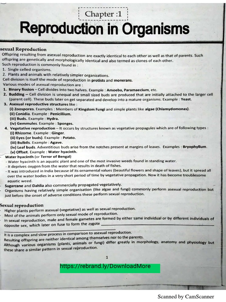 NEET Class 11 Biology Notes PDF | PDF