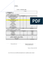 formato carga horaria por profesor 2020