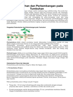 Pertumbuhan Dan Perkembangan Pada Tumbuhan