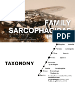 Order Diptera Family Sarcophagidae