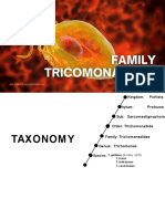 Family Trichomonadidae