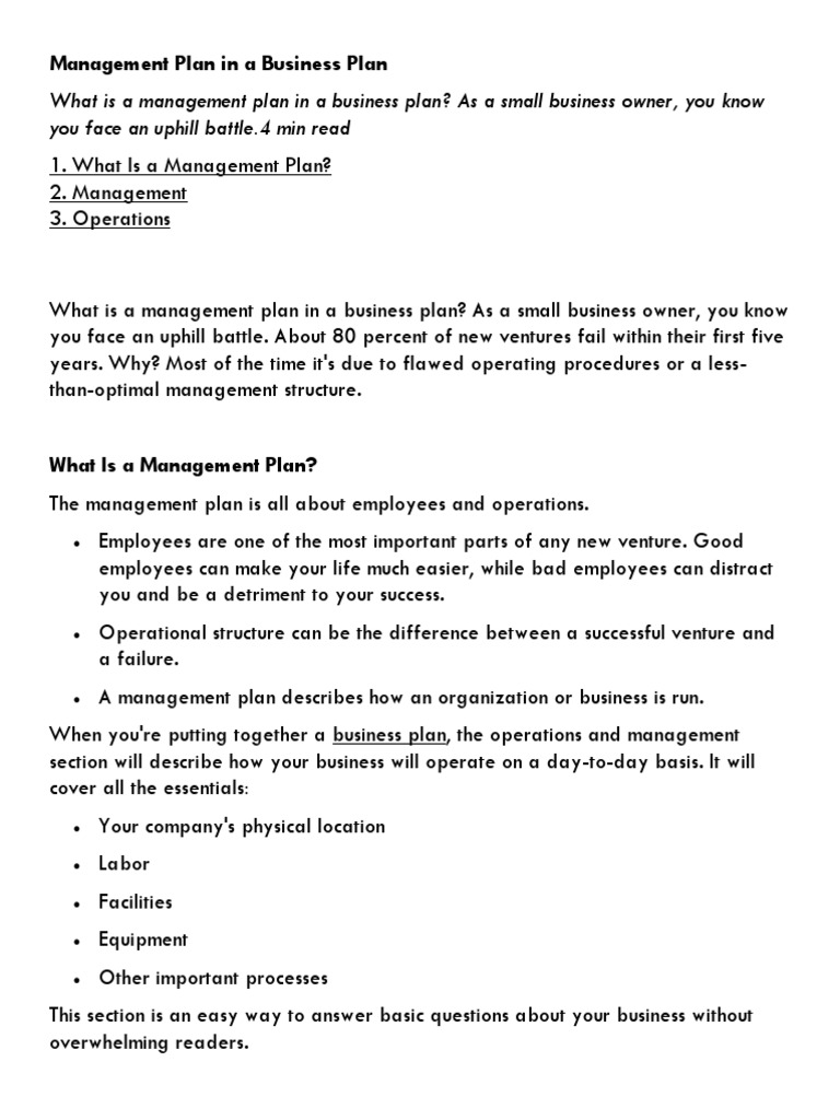 Management Plan in A Business Plan | PDF | Hierarchy | Investor