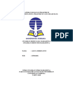 LAPORAN PRAKTIKUM IPA DI SD - Compressed