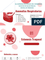 Anomalías Respiratorias