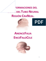 Malformaciones Del Cierre Del Tubo Neural. Región Craneal