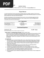 Sample Resume: Project Director