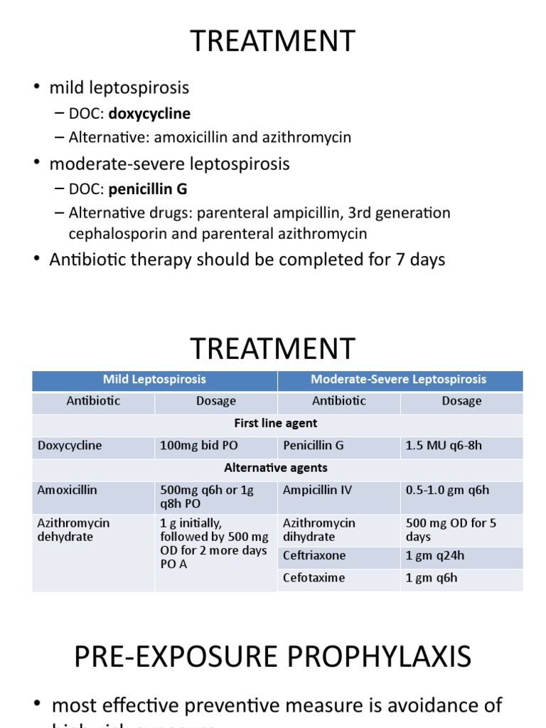 Leptospirosis Treatment Guidelines | PDF | Pharmacy | Drugs