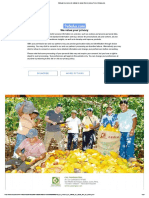 Manual de Proceso de Calidad de Cacao Fino de Aroma, Perú