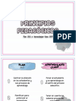 3. PRINCIPIOS PEDAGÓGICOS