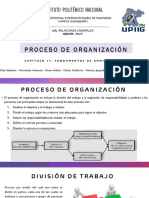 Proceso de Organización