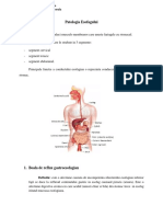 Curs 2 Chirurgie - Patologia Esofagului