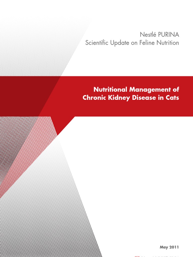 Nutritional Management Of Chronic Kidney Disease In Cats Chronic