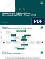 Guia Paso A Paso Revision MIPER v2