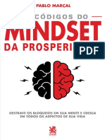 Os codigos do mindset da prosperidade