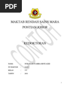 Contoh penghargaan folio