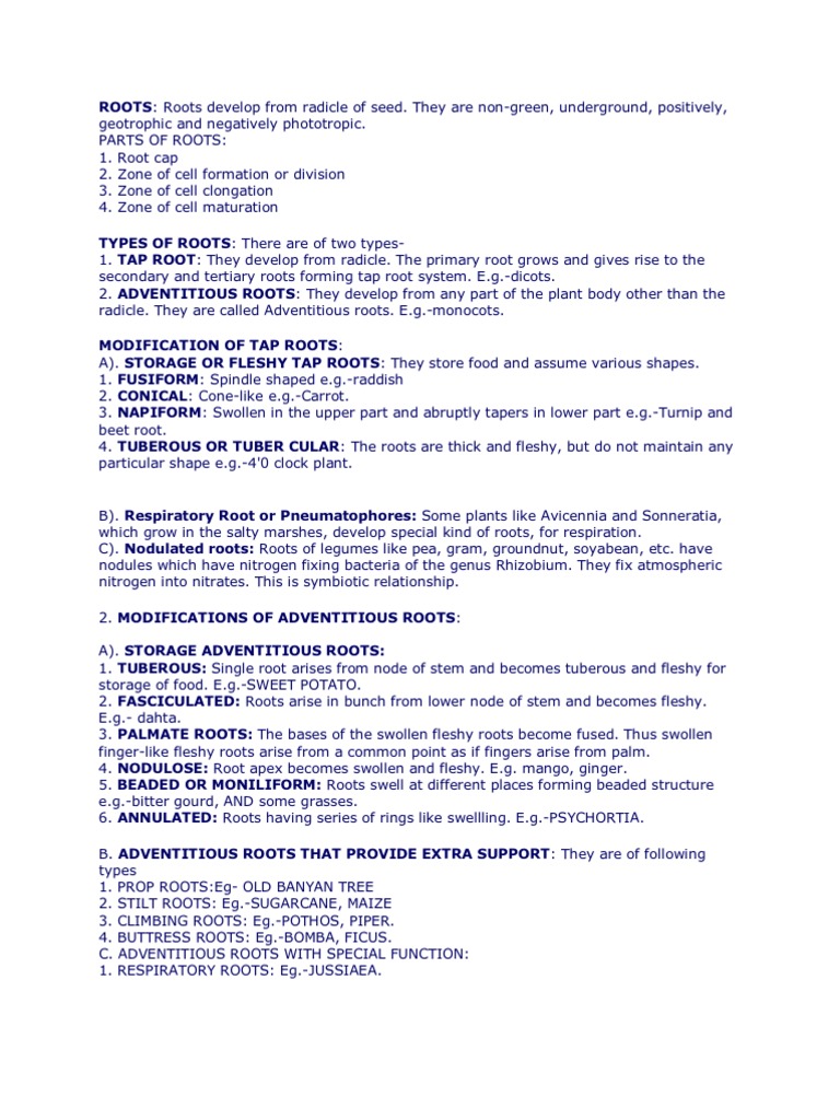 Types and Modifications of Roots | PDF