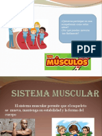 Sistemamuscular