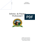 Informe Práctica Profesional L Final