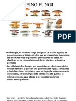 6semana Diapositivas.reino Fungi (1)