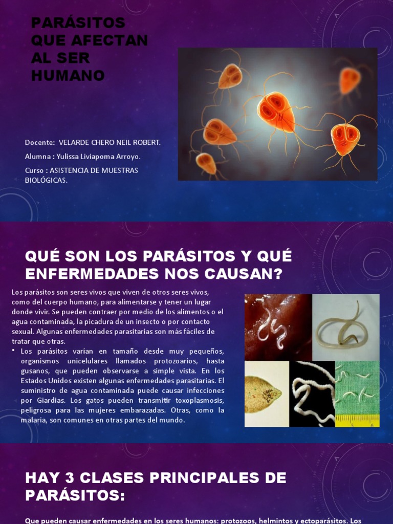 Parásitos que afectan al ser humano | PDF | Parasitismo ...