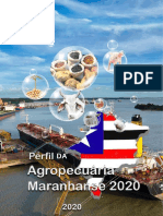 PERFIL-DA-AGROPECUÁRIA-2020