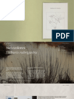 CuadernoPractica02 SIETECOLORES
