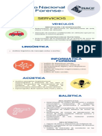 Infografia Informativa para Empresas Fondo Blanco