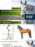 Horse Template 16x9