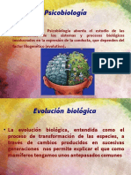 Clase de Psicobiología