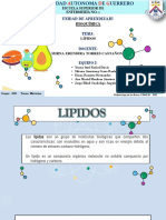 Lipidos Equipo 5