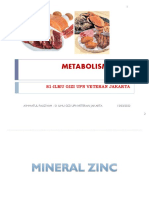 Metabolisme Mineral Zinc