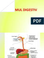 Curs 6 - Dietoterapie