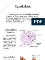 Cytoskeleton Transportation