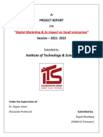 Institute of Technology & Science: "Digital Marketing & Its Impact On Small Enterprises"