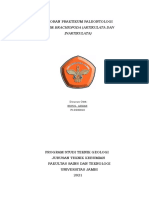 Laporan Praktikum Paleontologi - Filum Brachiopoda - Nurul Azizah - f1d220010 - Kel 3 Fixxx BGT