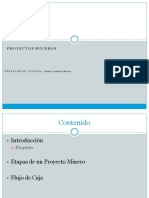 Proyecto Minero Ii